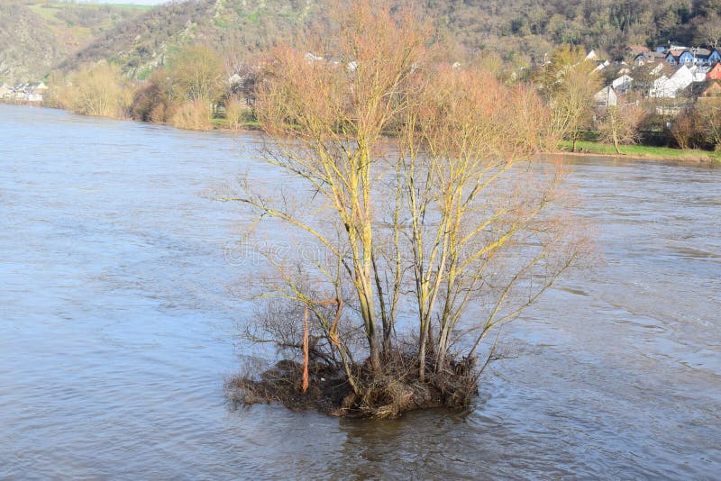 Mosel valley road near Lehmen during the winter flood 2023. The small flood only covered the lower roads, parks and ways at the water. The January flood was lower than the years before. Mosel valley road near Lehmen during the winter flood 2023. The small flood only covered the lower roads, parks and ways at the water. The January flood was lower than the years before.