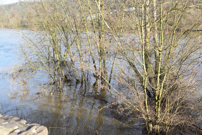 Mosel valley road near Lehmen during the winter flood with muddy water covering the lower parts along the river. Moselle is still low in 2023, the floods before were higher. Mosel valley road near Lehmen during the winter flood with muddy water covering the lower parts along the river. Moselle is still low in 2023, the floods before were higher