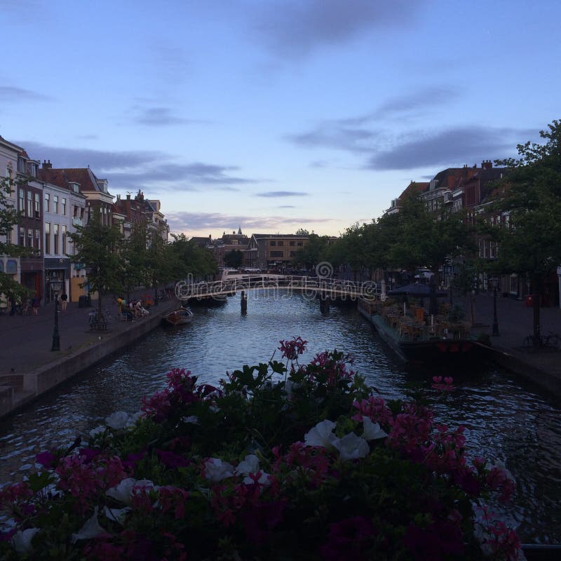 Leiden stock image. Image of flowers, leiden, netherlands 61546451