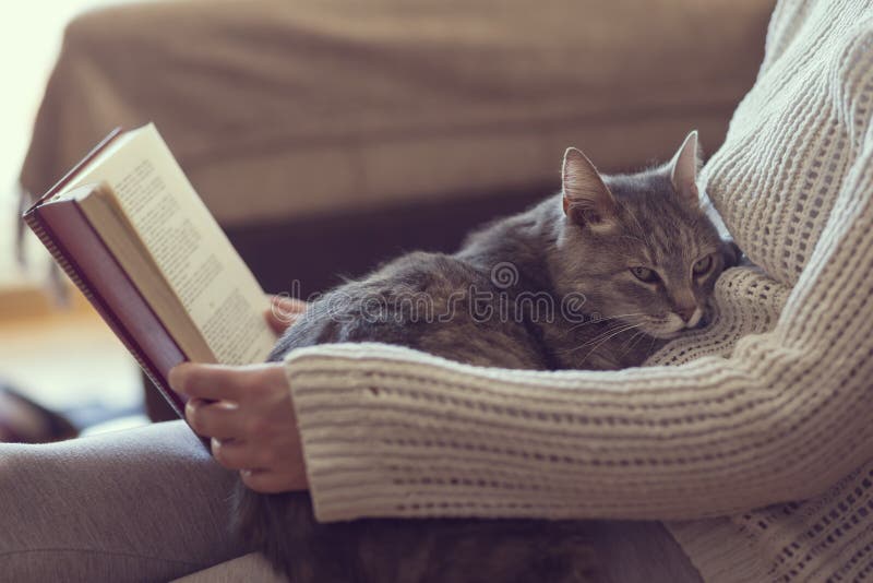 3,918 Cat Reading Stock Photos - Free & Royalty-Free Stock Photos from  Dreamstime