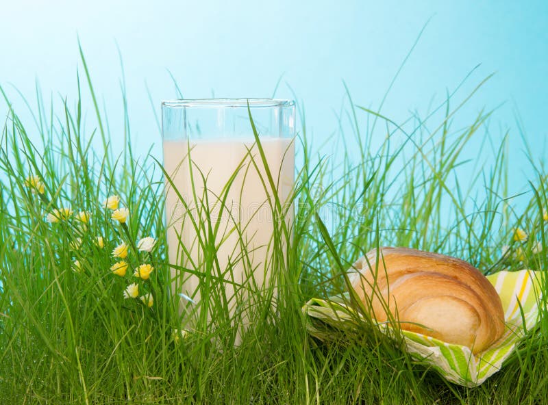 Leite e pão frescos imagens de stock royalty free