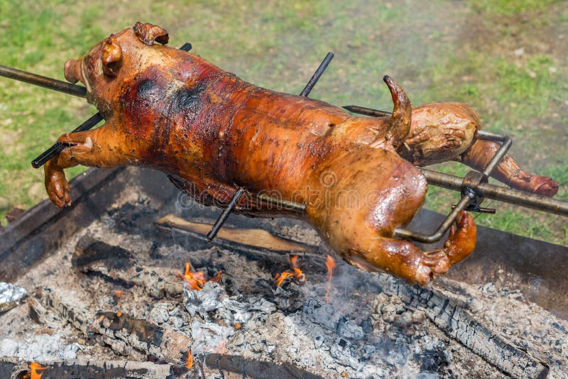 Leitão Inteiro Do Porco Que Mama O Assado Grelhado Roasted Foto de