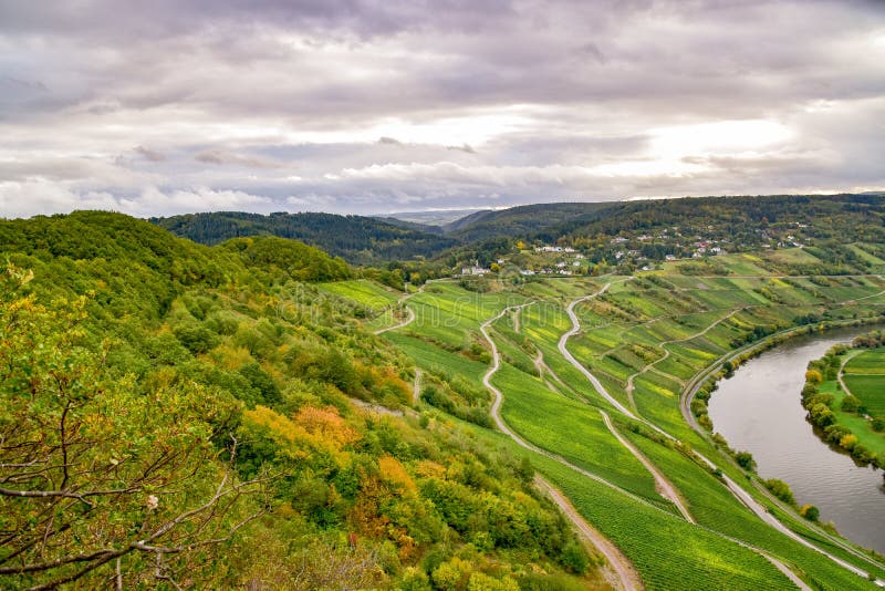 Leiwen Village on the Moselle Stock Image - Image of travel, germany ...