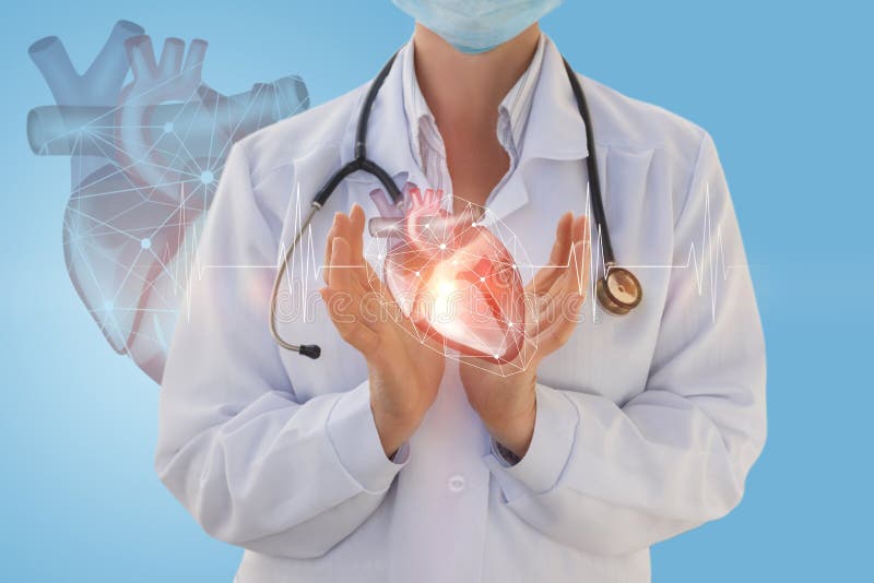 Physician cardiologist shows a human heart on a blue background. Physician cardiologist shows a human heart on a blue background.