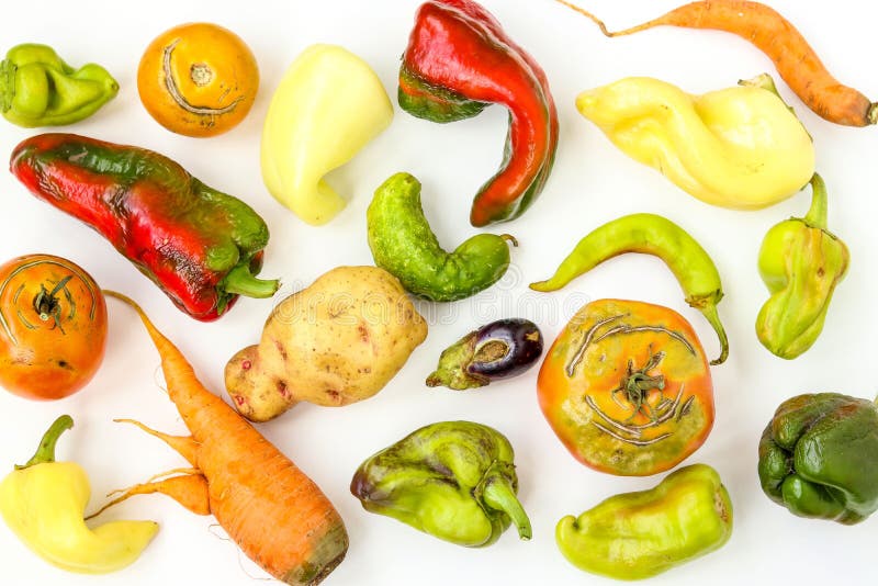 In Lelijke Organische Groenten: aardappels, wortelen, komkommer, peper, Spaanse peper, aubergine en tomaten op witte achtergrond royalty-vrije stock afbeeldingen In Lelijke Organische Groenten: aardappels, wortelen, komkommer, peper, Spaanse peper, aubergine en tomaten op witte achtergrond royalty-vrije stock afbeeldingen