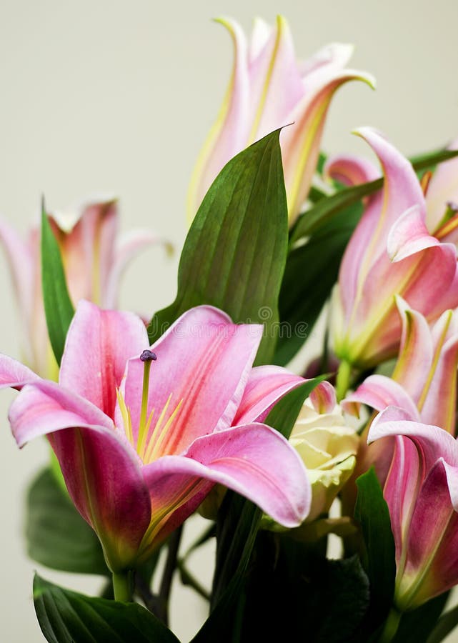 Bouquet of lily flower with a rose. Bouquet of lily flower with a rose