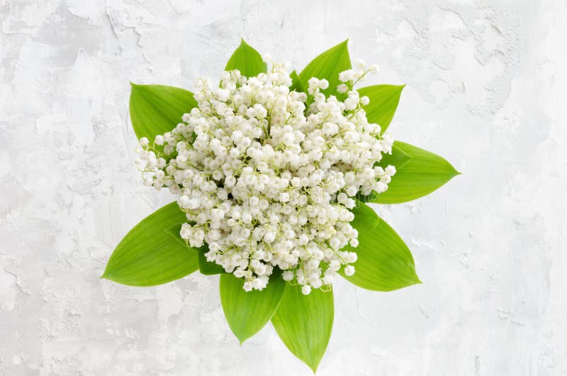 Lily of the valley bouquet on a concrete texture. Overhead shot. Lily of the valley bouquet on a concrete texture. Overhead shot