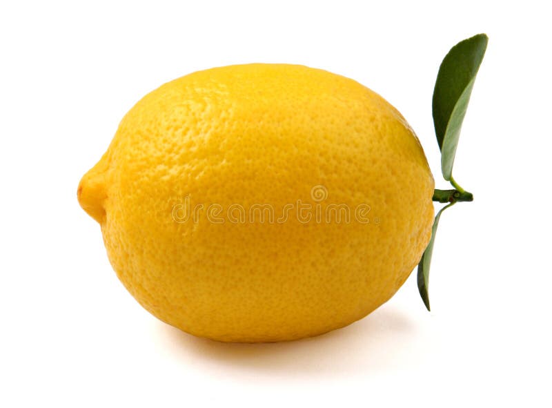 Lemon. The lemon on white background Lemon. The lemon on white background