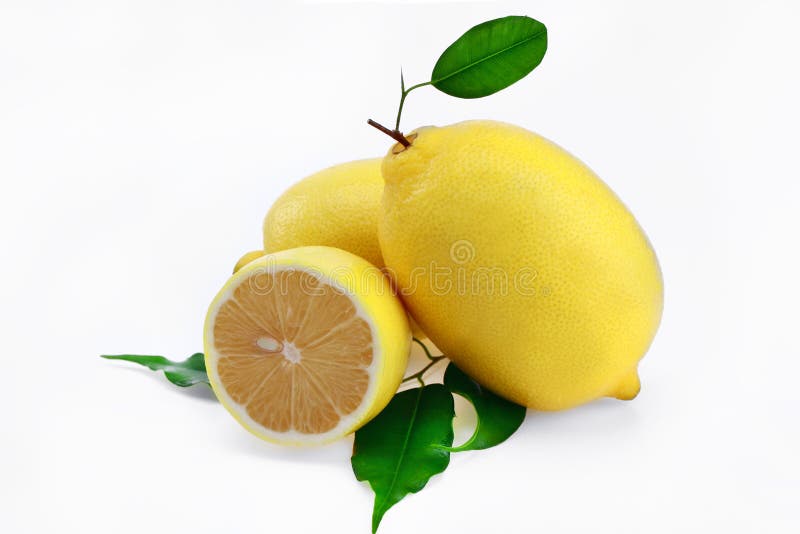 Lemon