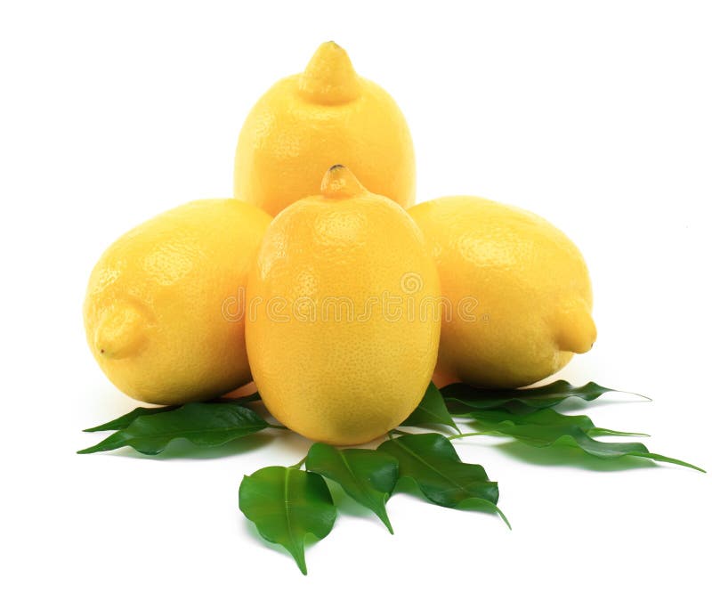 Lemon