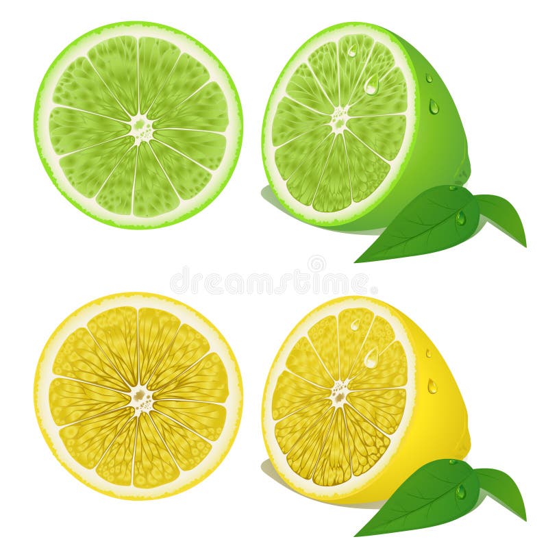 Icon Set Lemon stock vector. Illustration of collection - 20662331