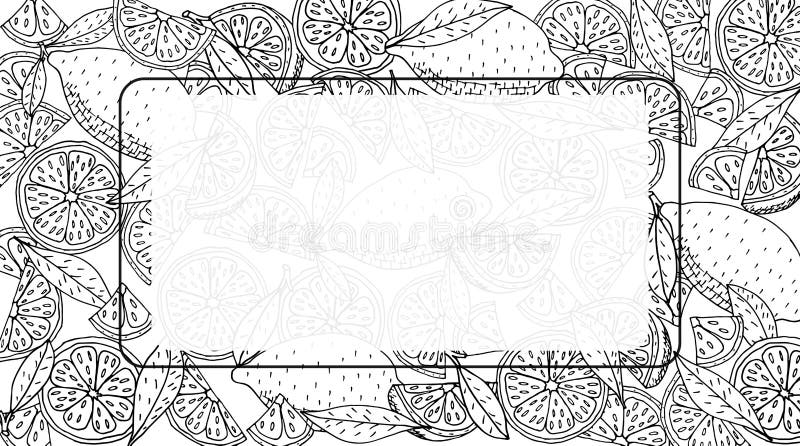 Lemon background frame. Hand drawing of whole lemon, slice, leaf lemon tree in black and white colors, isolated. Label or banner