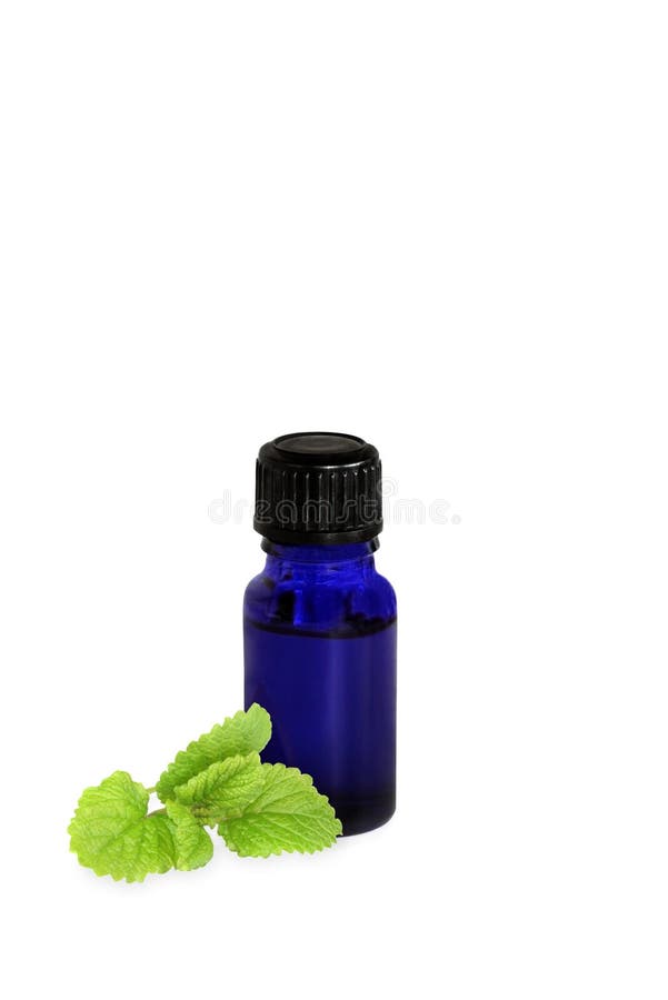 Lemon Balm Herb Oil stock photo. Image of container, medicinal 8526394