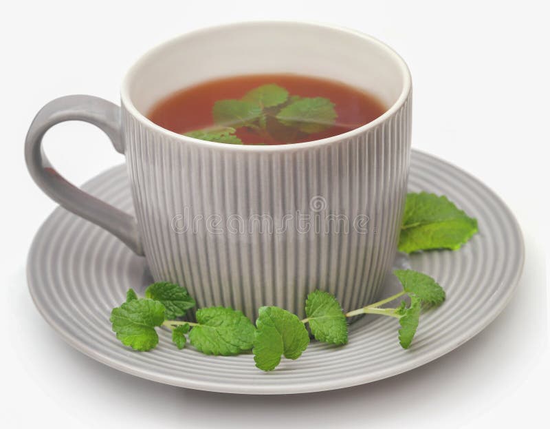 Lemon Balm Leaves with Herbal Tea Stock Image Image of macro, balm