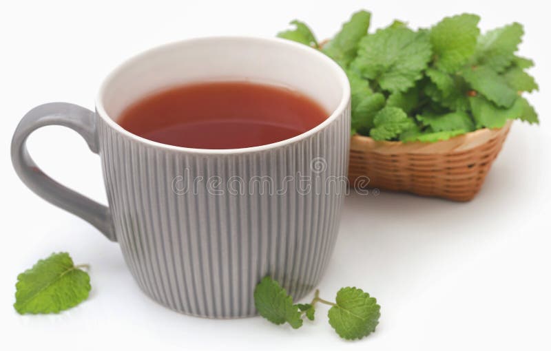 Lemon Balm Leaves with Herbal Tea Stock Image Image of officinalis