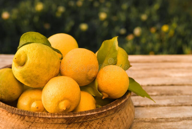 Lemon Bowl stock image. Image of fresh, bowl, leaves, yellow 7153409