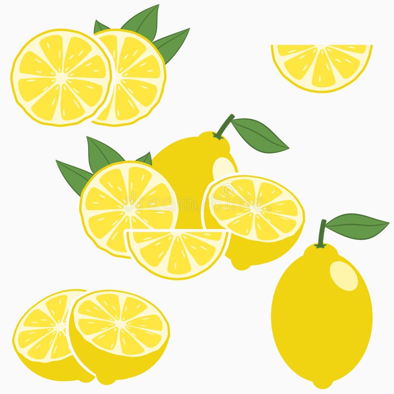 Lemon. Citrus fruit with leaf - whole, half, slice. Vector. royalty free illustration