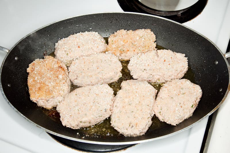 LemonDill Salmon Croquettes Stock Image Image of homemade, healthy