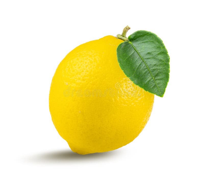 Lemon fruit with leaf isolated on white background royalty free stock image Lemon fruit with leaf isolated on white background royalty free stock image