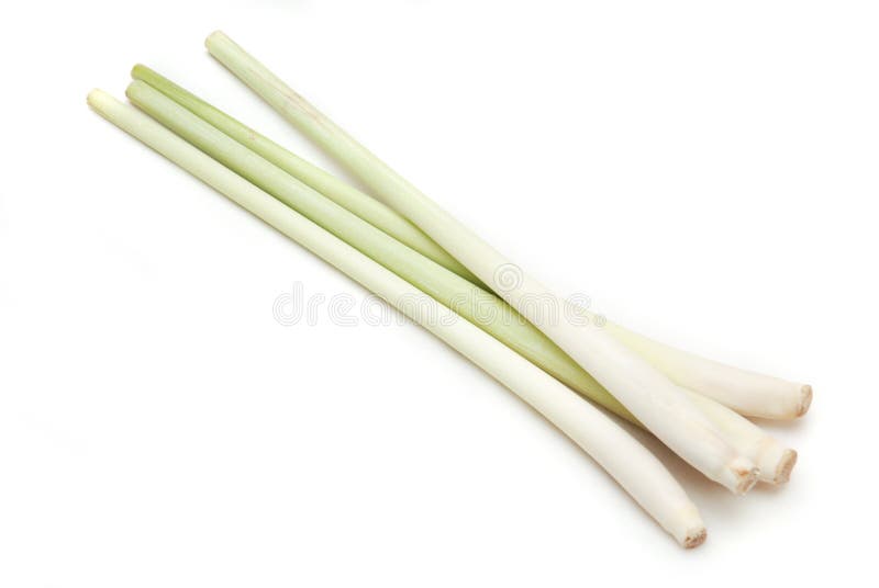 Lemon Grass