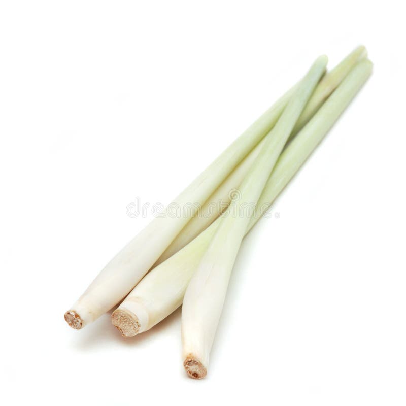 Lemon Grass