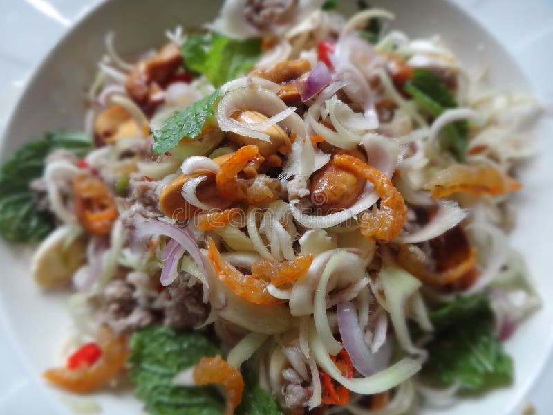 Sea grass salad stock image. Image of gracilaria, porphyra 23696763