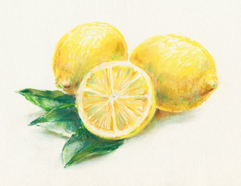 Lemons stock illustration. Illustration of juice, juicy - 14506941