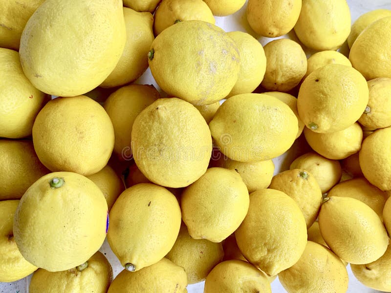 Lemon or lemon, sour, sour Have to cook Or eat royalty free stock photo Lemon or lemon, sour, sour Have to cook Or eat royalty free stock photo