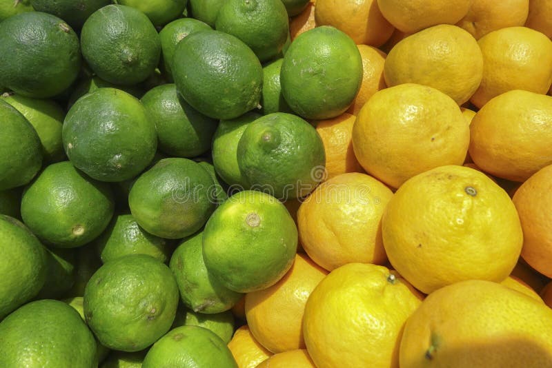 Lemon and limes stock photo. Image of green, sour, stacked 31150142
