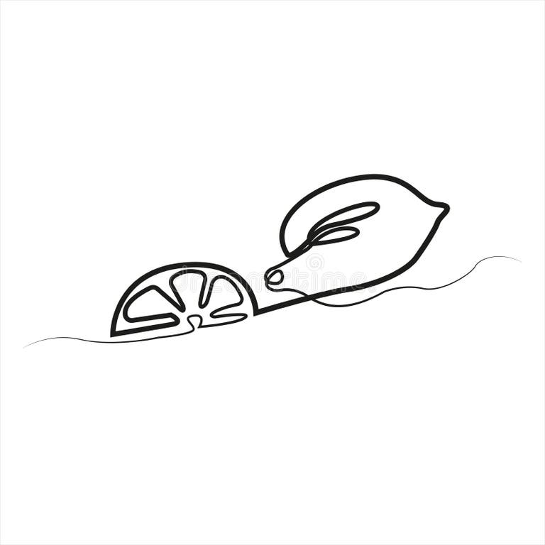 Drawing Lime Wedge Stock Illustrations 237 Drawing Lime Wedge Stock