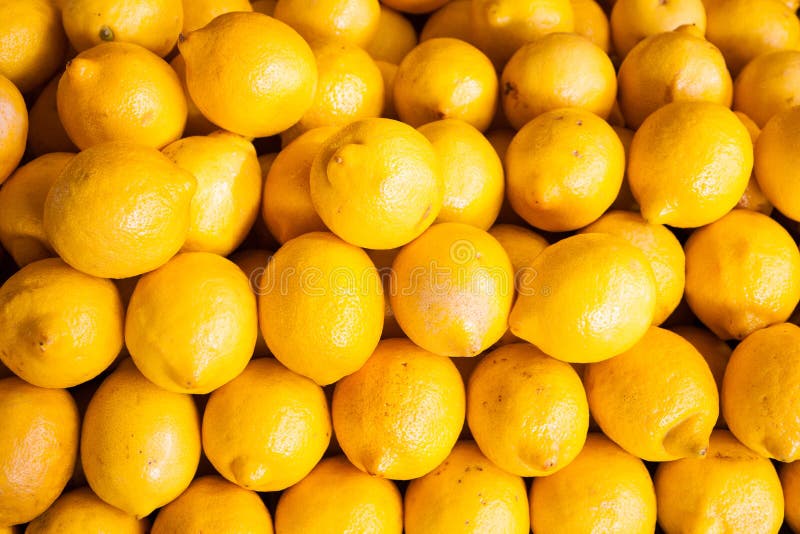 Lemon pile stock image. Image of background, citrus, farm - 24319177