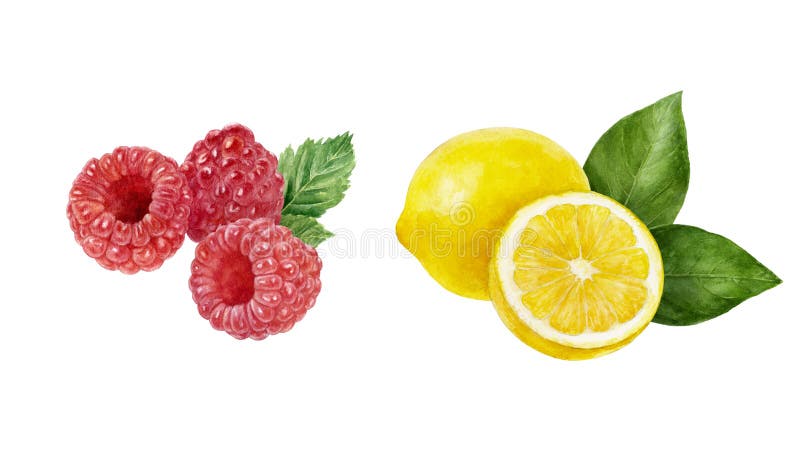 Lemon raspberry set fruit watercolor isolated on white background
