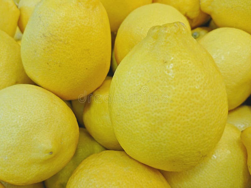 Lemon for sale stock image. Image of grow, detail, group 95932461