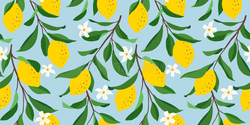 Iphone Wallpaper Lemon Images  Free Photos PNG Stickers Wallpapers   Backgrounds  rawpixel