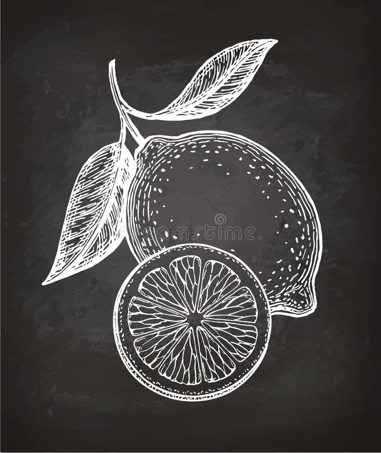 Lemon sketch on chalkboard stock vector. Illustration of food 96716617