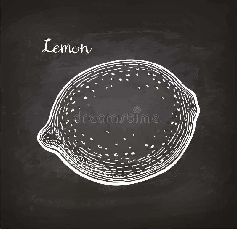 Lemon sketch on chalkboard stock vector. Illustration of healthy 96716416