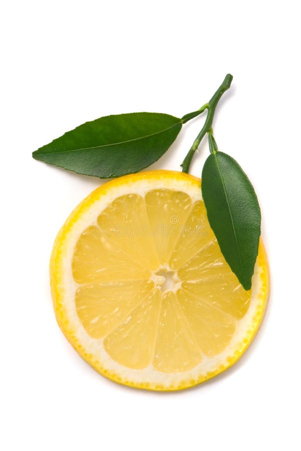 Lemon slice with fresh leaves