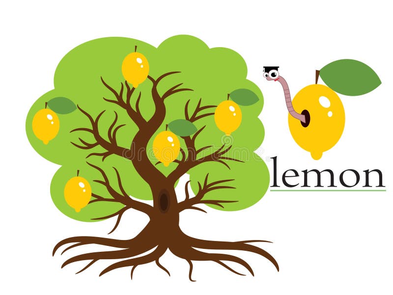 Lemon tree