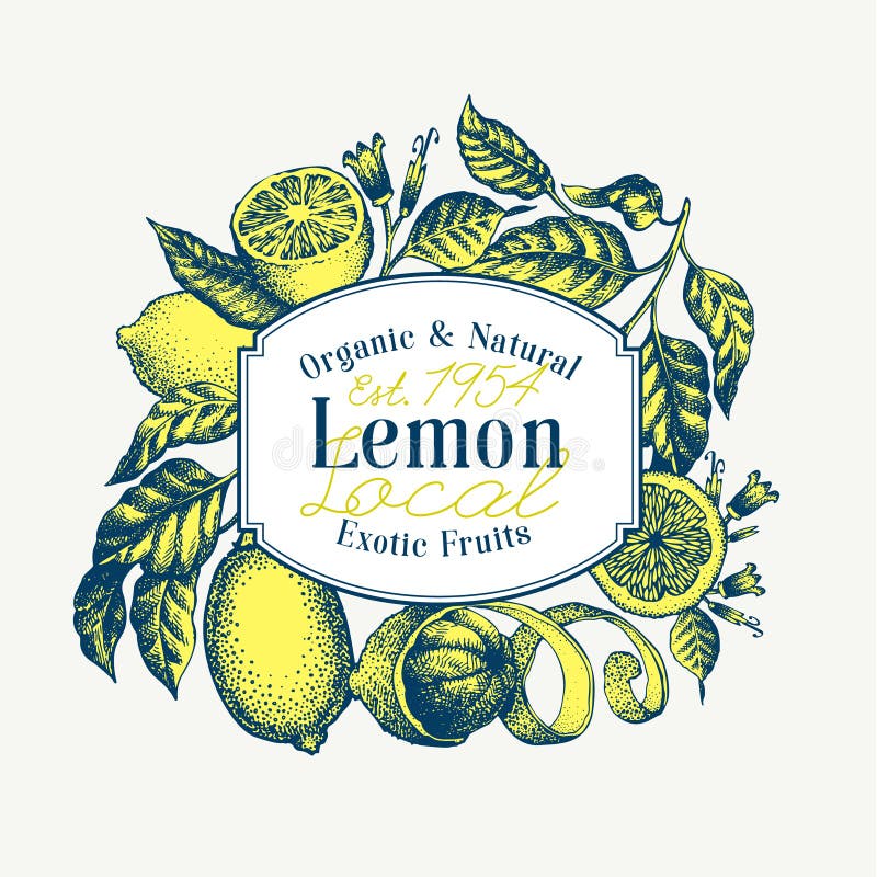 Kiwi  Lemon Logo Design