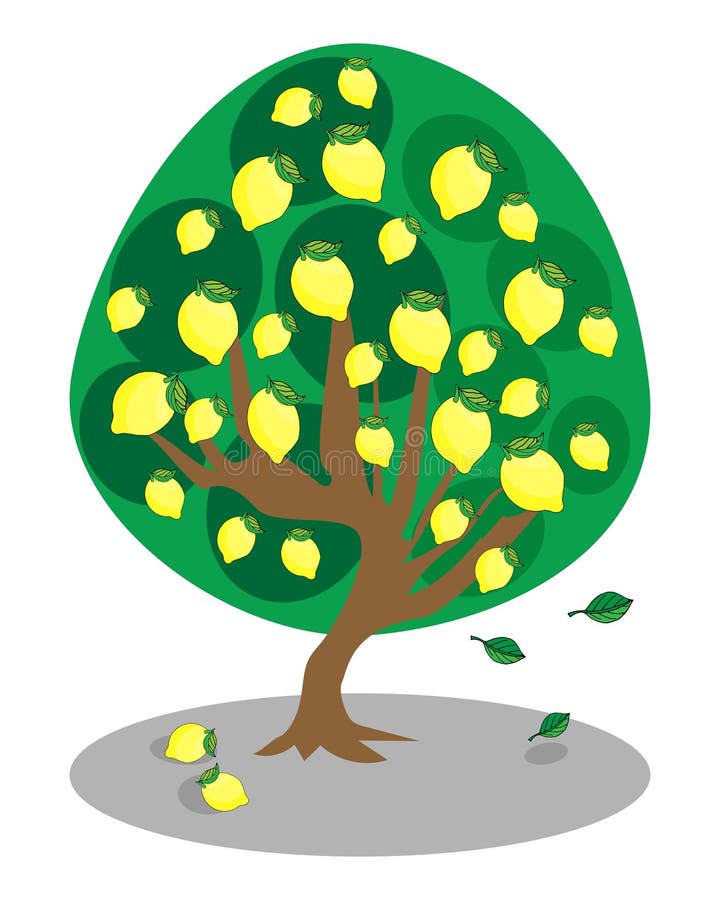 Lemon tree with ripe fruits royalty free illustration