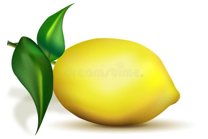 Lemon on a white background