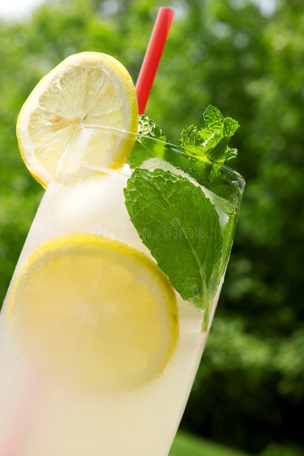 Lemonade stock photo. Image of juice, peace, healthy, food 2507652