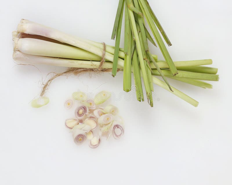 Lemongrass Cymbopogon citratus is a member of the grass tribe that is used as a kitchen spice to scent food.