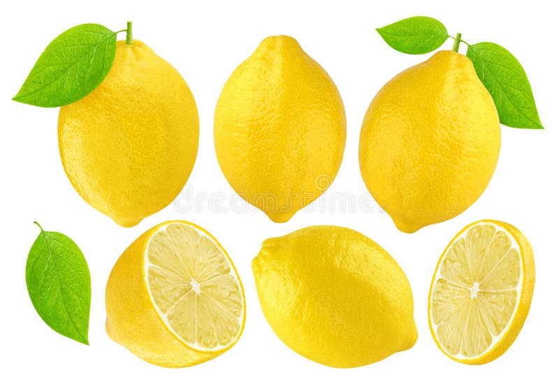 Lemons Collection Isolated On White Background Stock Image Image of