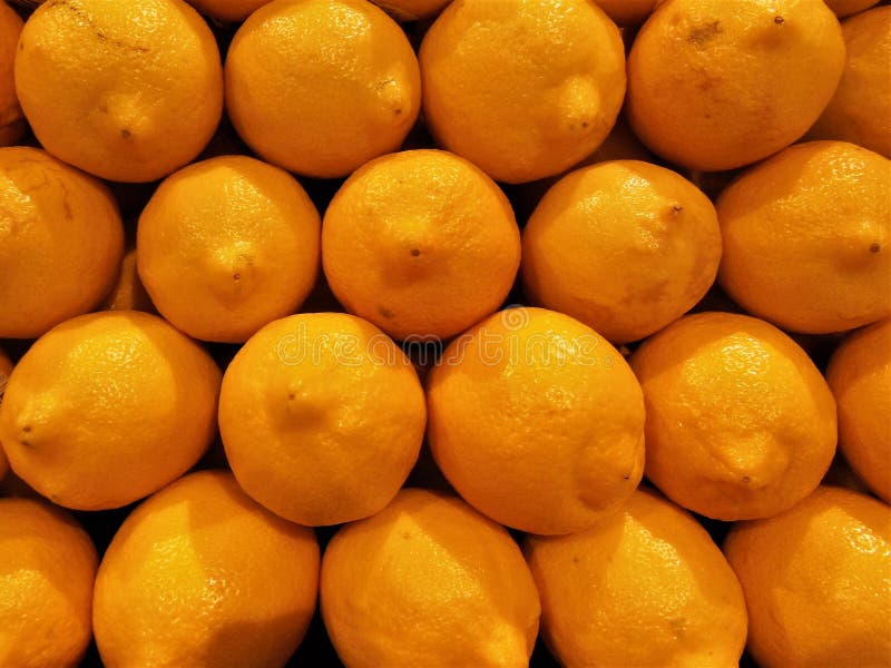 Lemons Group stock photo. Image of healthy, produce 261463866