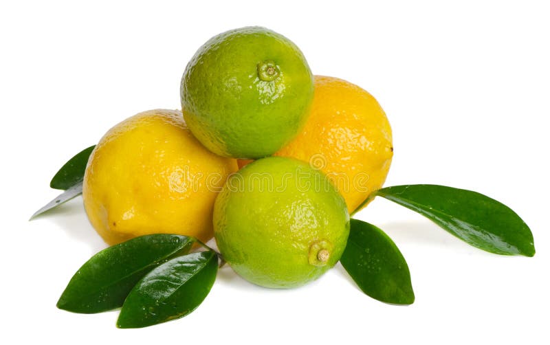 Lemons and limes stock image. Image of diet, lime, green 20497503