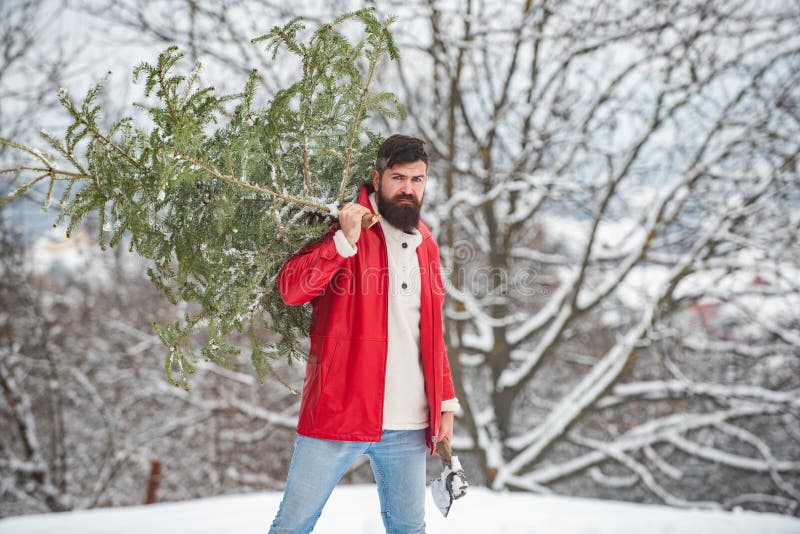Lenhador com o machado na paisagem do inverno da floresta do inverno Denominando o moderno de Santa com uma barba longa que levan imagem de stock royalty free Lenhador com o machado na paisagem do inverno da floresta do inverno Denominando o moderno de Santa com uma barba longa que levan imagem de stock royalty free