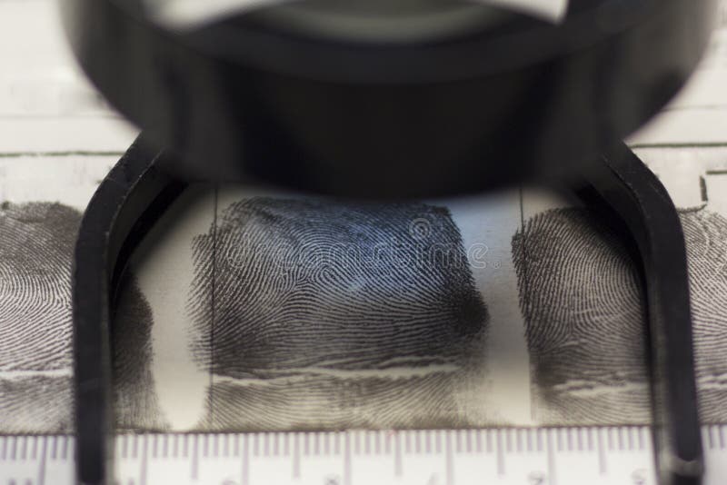 Lens, Fingerprints and Forensic Ruler on Fingerprint Card Stock Image Image of verification