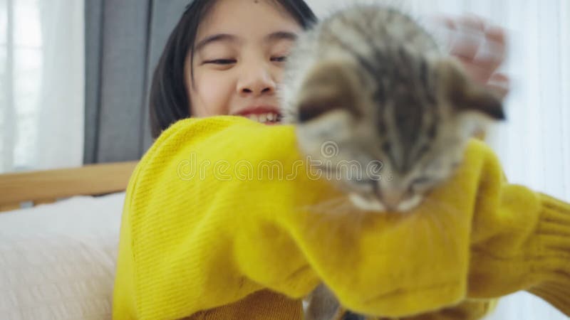 Lent mouvement Fermeture de Lovely Asian jouant avec un chaton mignon, jolie fille tenant un chat à l'intérieur