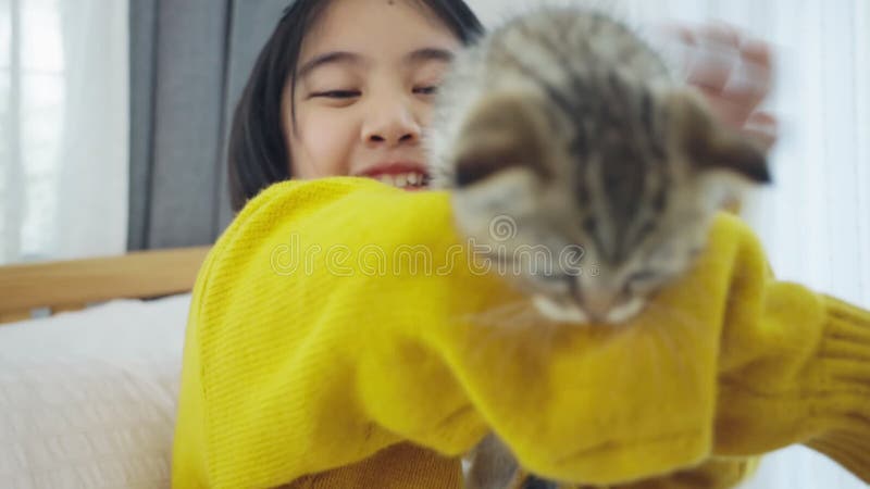 Lent mouvement Fermeture de Lovely Asian jouant avec un chaton mignon, jolie fille tenant un chat à l'intérieur banque de vidéos